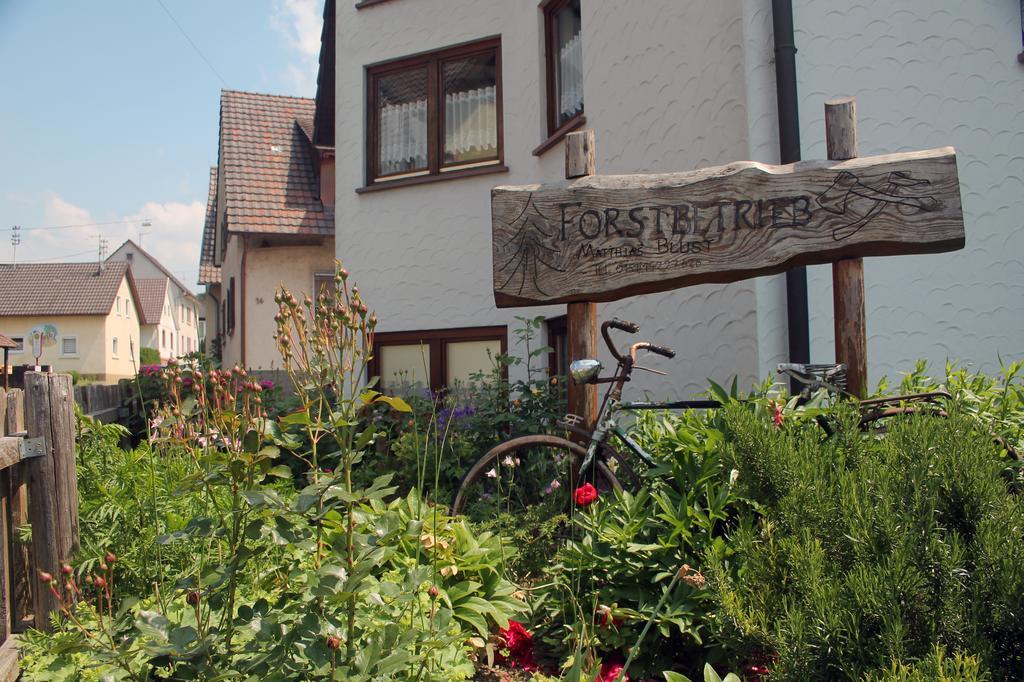 Haus Am Bergli Apartment แฮร์บอลซ์ไฮม์ ห้อง รูปภาพ
