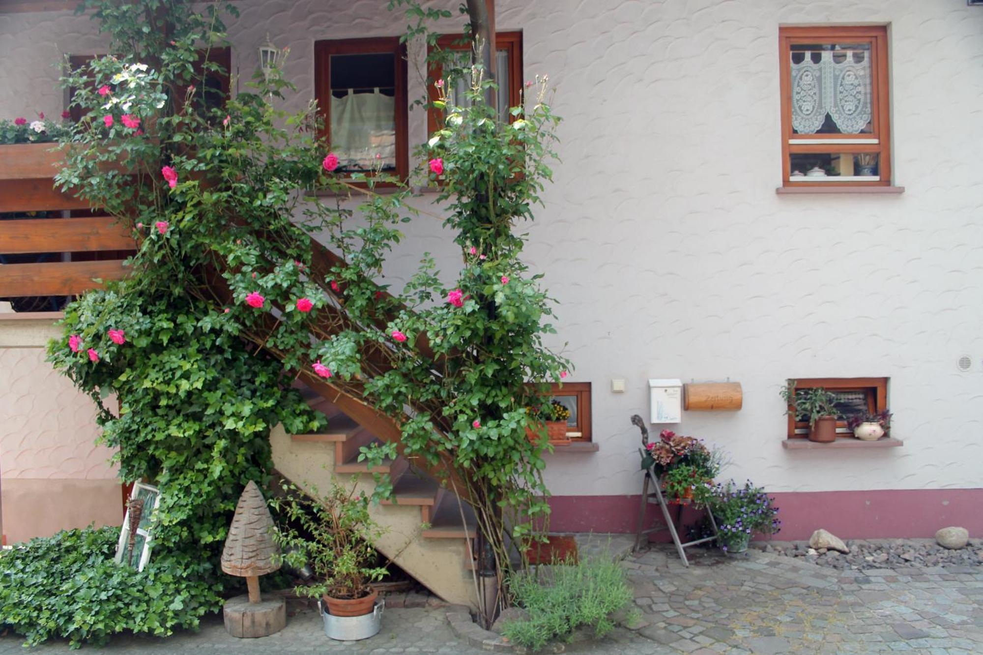Haus Am Bergli Apartment แฮร์บอลซ์ไฮม์ ภายนอก รูปภาพ